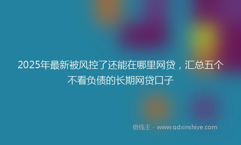 2025年最新被风控了还能在哪里网贷，汇总五个不看负债的长期网贷口子