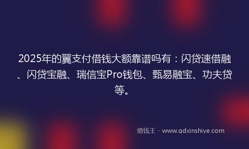 2025年的翼支付借钱大额靠谱吗有：闪贷速借融、闪贷宝融、瑞信宝Pro钱包、甄易融宝、功夫贷等。