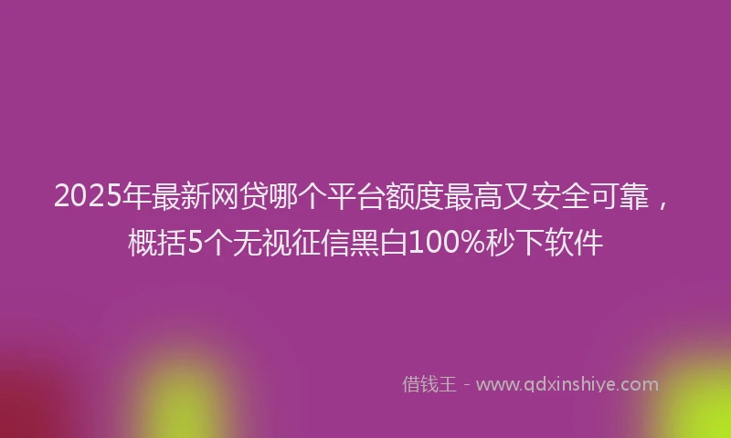 2025年最新网贷哪个平台额度最高又安全可靠，概括5个无视征信黑白100%秒下软件