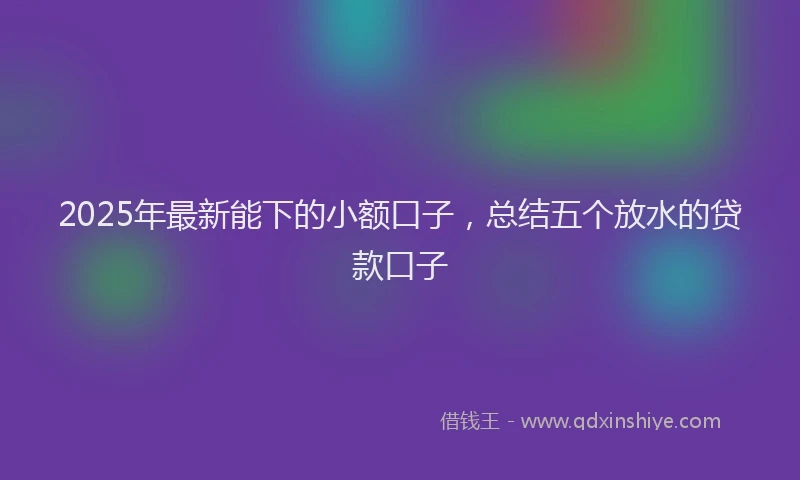 2025年最新能下的小额口子，总结五个放水的贷款口子