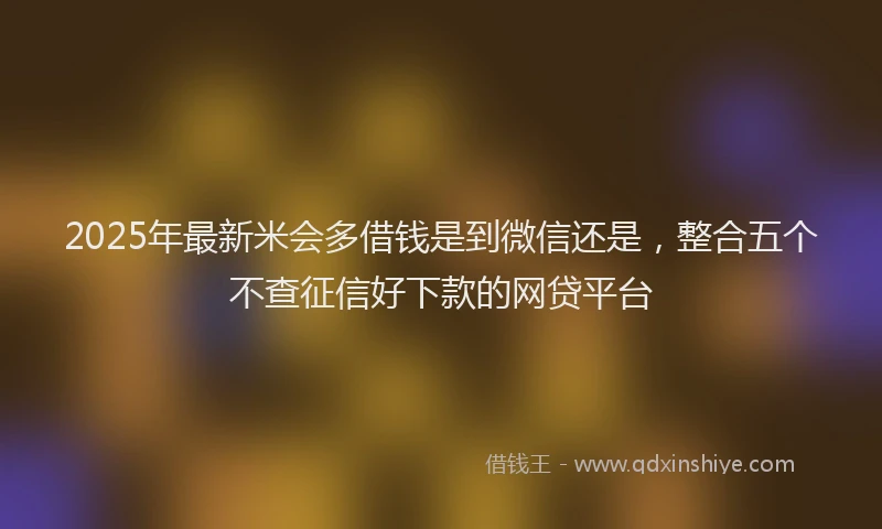 2025年最新米会多借钱是到微信还是，整合五个不查征信好下款的网贷平台