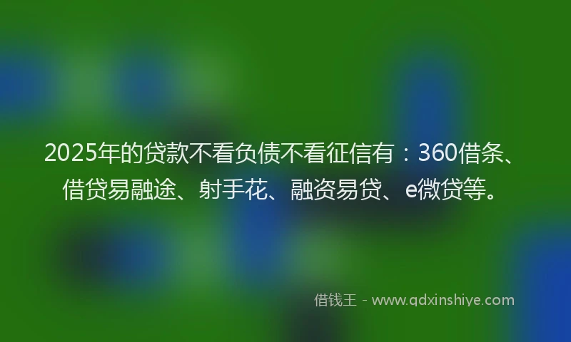 2025年的贷款不看负债不看征信有：360借条、借贷易融途、射手花、融资易贷、e微贷等。
