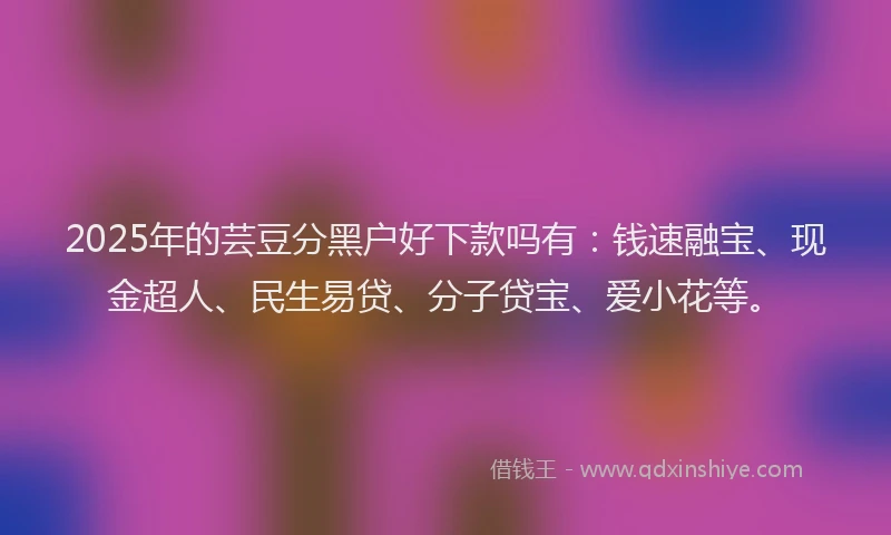2025年的芸豆分黑户好下款吗有：钱速融宝、现金超人、民生易贷、分子贷宝、爱小花等。