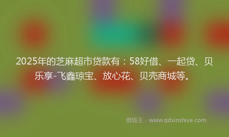 2025年的芝麻超市贷款有：58好借、一起贷、贝乐享-飞鑫琼宝、放心花、贝壳商城等。