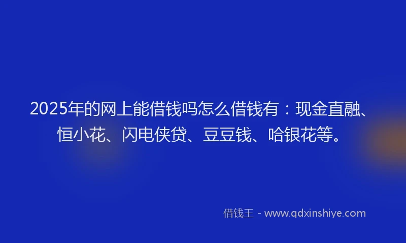 2025年的网上能借钱吗怎么借钱有：现金直融、恒小花、闪电侠贷、豆豆钱、哈银花等。