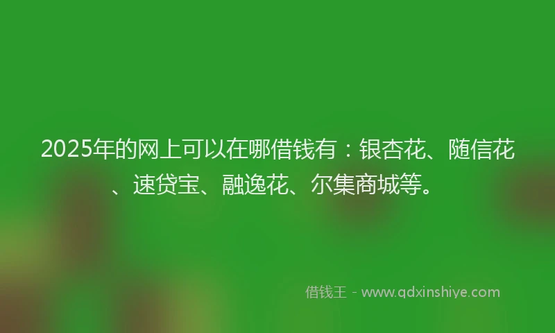 2025年的网上可以在哪借钱有：银杏花、随信花、速贷宝、融逸花、尔集商城等。