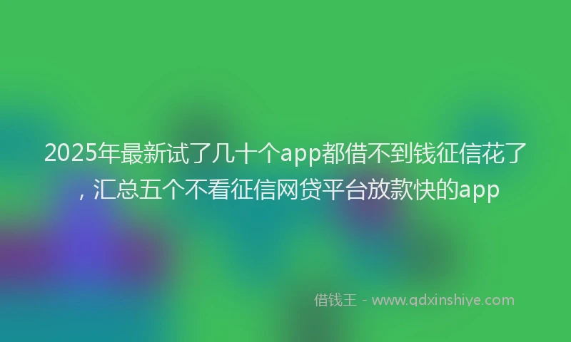 2025年最新试了几十个app都借不到钱征信花了，汇总五个不看征信网贷平台放款快的app