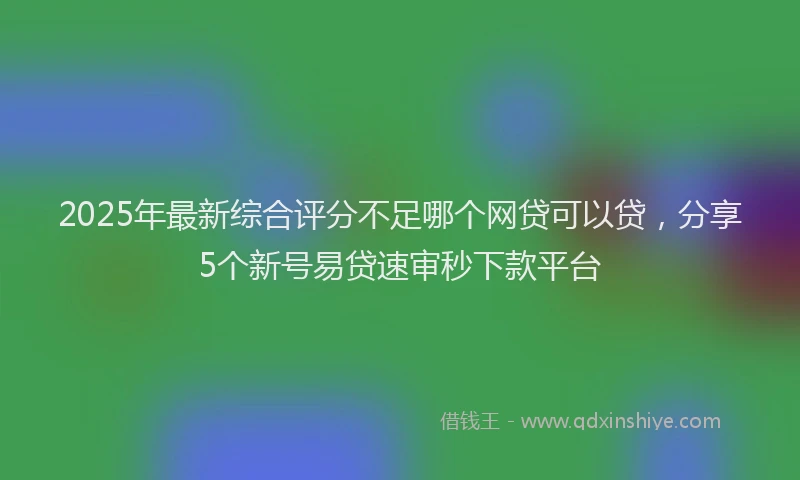 2025年最新综合评分不足哪个网贷可以贷，分享5个新号易贷速审秒下款平台