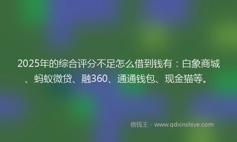 2025年的综合评分不足怎么借到钱有：白象商城、蚂蚁微贷、融360、通通钱包、现金猫等。