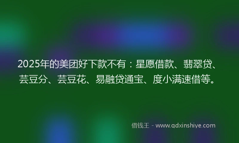 2025年的美团好下款不有：星愿借款、翡翠贷、芸豆分、芸豆花、易融贷通宝、度小满速借等。