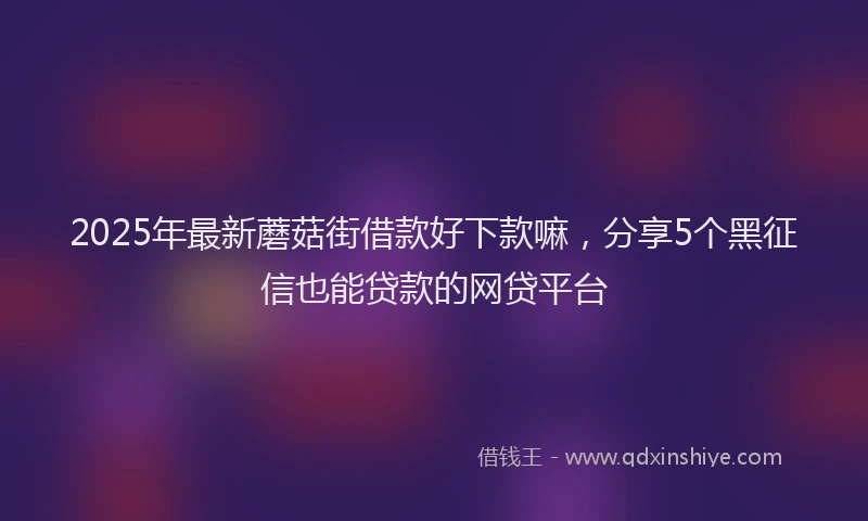 2025年最新蘑菇街借款好下款嘛,分享5个黑征信也能贷款的网贷平台