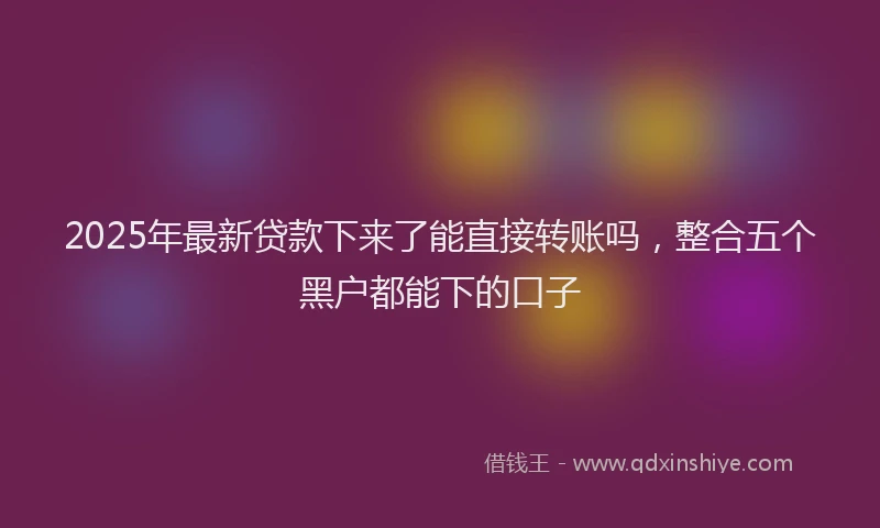 2025年最新贷款下来了能直接转账吗，整合五个黑户都能下的口子