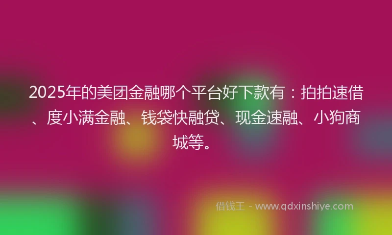 2025年的美团金融哪个平台好下款有：拍拍速借、度小满金融、钱袋快融贷、现金速融、小狗商城等。