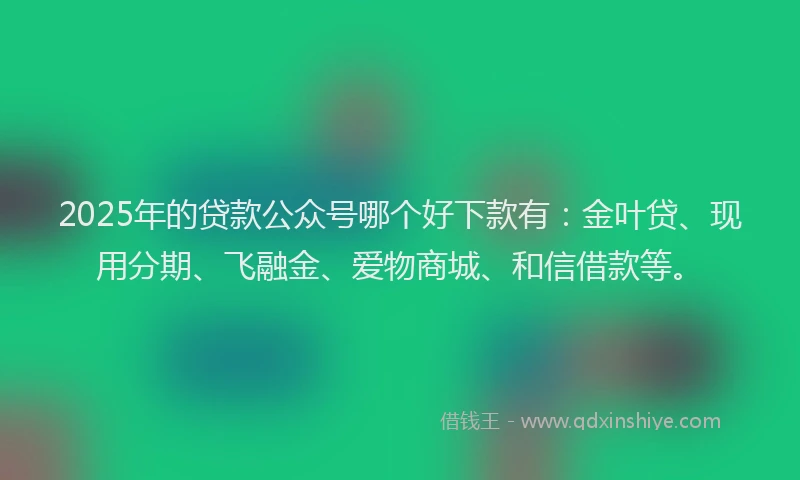 2025年的贷款公众号哪个好下款有：金叶贷、现用分期、飞融金、爱物商城、和信借款等。