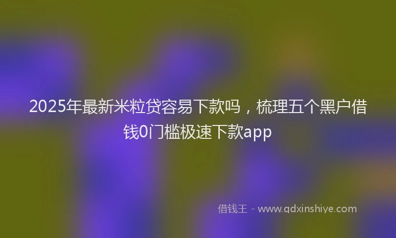 2025年最新米粒贷容易下款吗，梳理五个黑户借钱0门槛极速下款app
