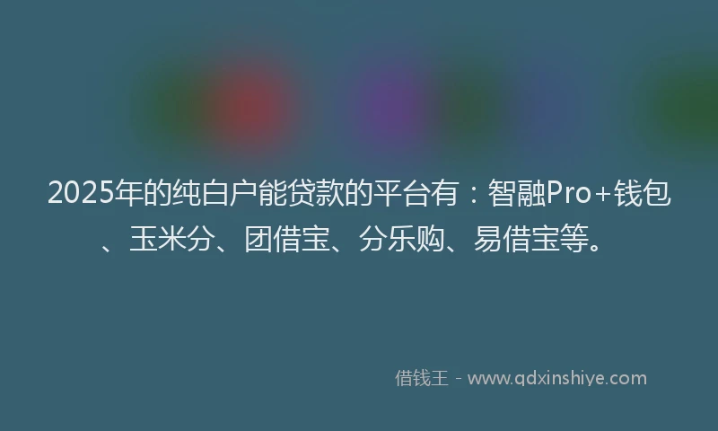 2025年的纯白户能贷款的平台有：智融Pro+钱包、玉米分、团借宝、分乐购、易借宝等。