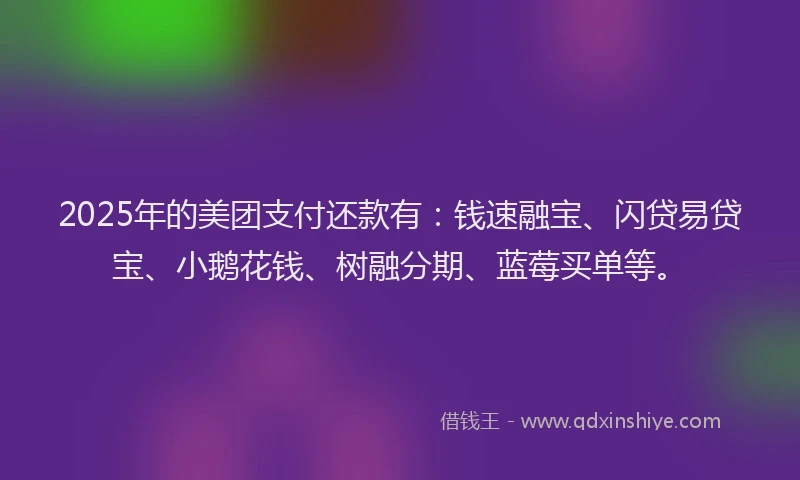 2025年的美团支付还款有：钱速融宝、闪贷易贷宝、小鹅花钱、树融分期、蓝莓买单等。
