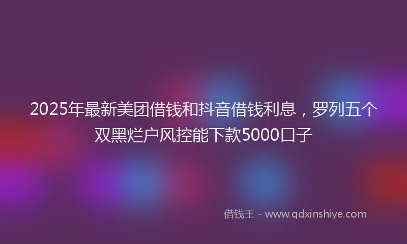 2025年最新美团借钱和抖音借钱利息，罗列五个双黑烂户风控能下款5000口子