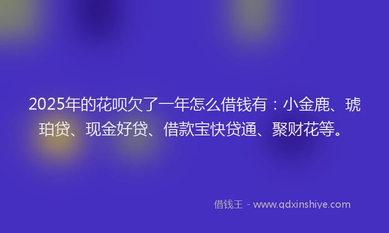 2025年的花呗欠了一年怎么借钱有：小金鹿、琥珀贷、现金好贷、借款宝快贷通、聚财花等。