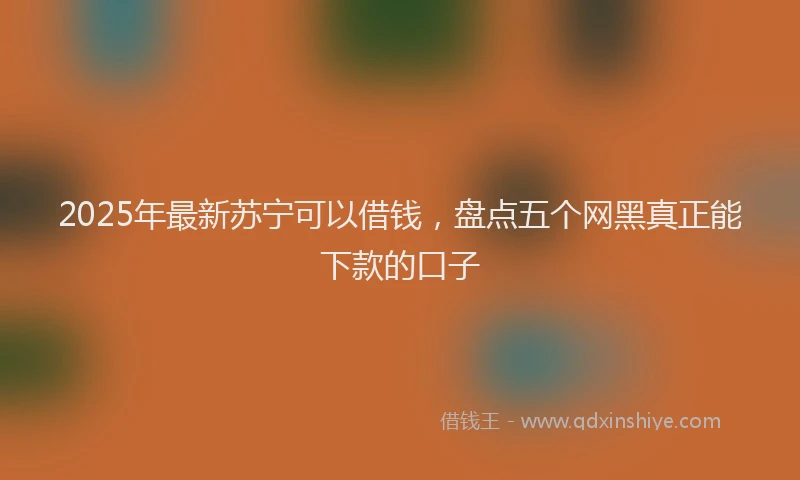 2025年最新苏宁可以借钱，盘点五个网黑真正能下款的口子