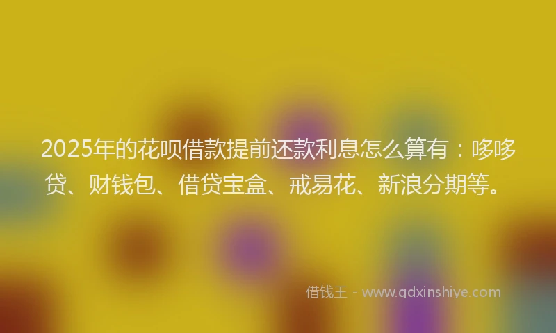 2025年的花呗借款提前还款利息怎么算有：哆哆贷、财钱包、借贷宝盒、戒易花、新浪分期等。