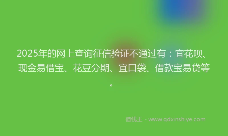 2025年的网上查询征信验证不通过有：宜花呗、现金易借宝、花豆分期、宜口袋、借款宝易贷等。