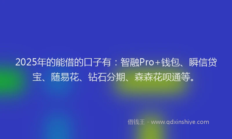 2025年的能借的口子有：智融Pro+钱包、瞬信贷宝、随易花、钻石分期、森森花呗通等。