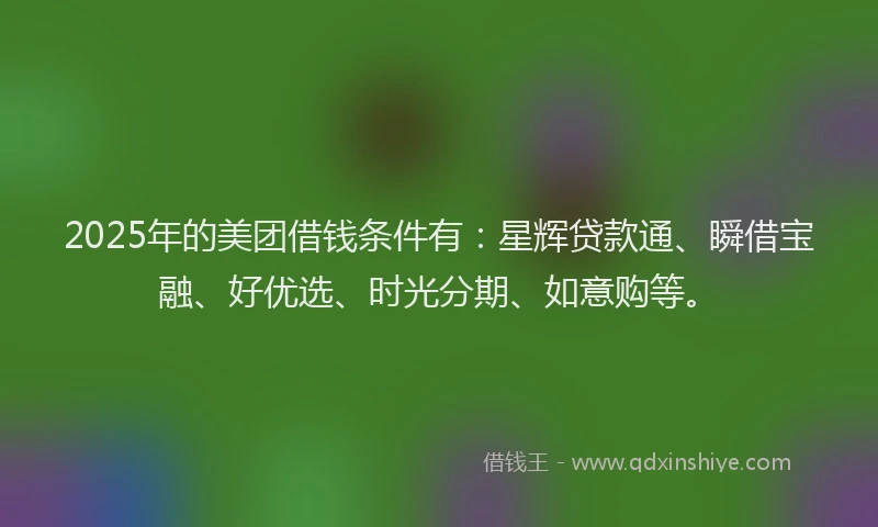 2025年的美团借钱条件有：星辉贷款通、瞬借宝融、好优选、时光分期、如意购等。