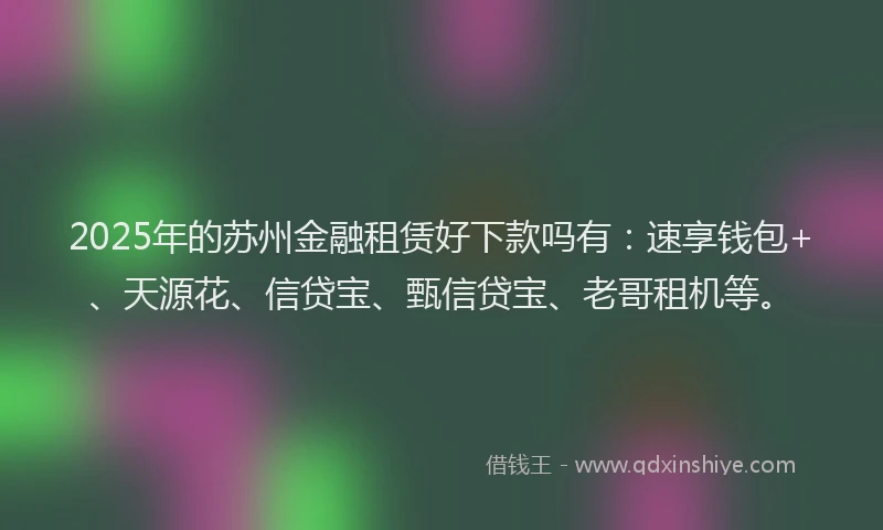2025年的苏州金融租赁好下款吗有：速享钱包+、天源花、信贷宝、甄信贷宝、老哥租机等。