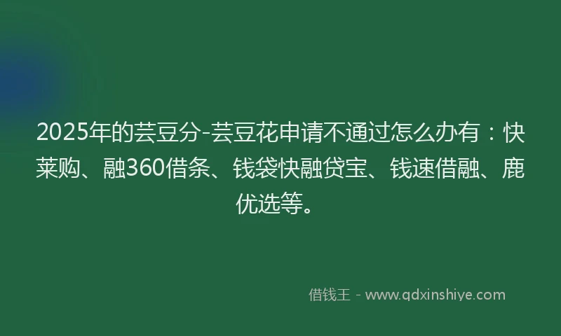 2025年的芸豆分-芸豆花申请不通过怎么办有：快莱购、融360借条、钱袋快融贷宝、钱速借融、鹿优选等。