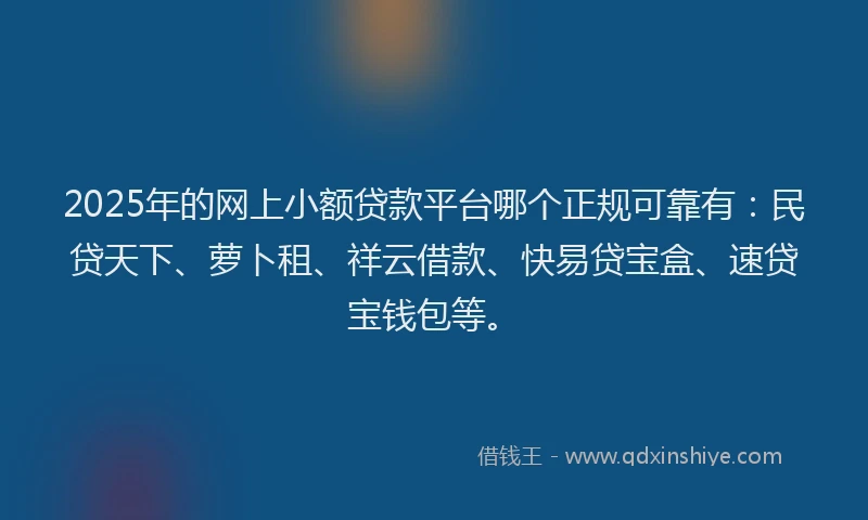 2025年的网上小额贷款平台哪个正规可靠有：民贷天下、萝卜租、祥云借款、快易贷宝盒、速贷宝钱包等。