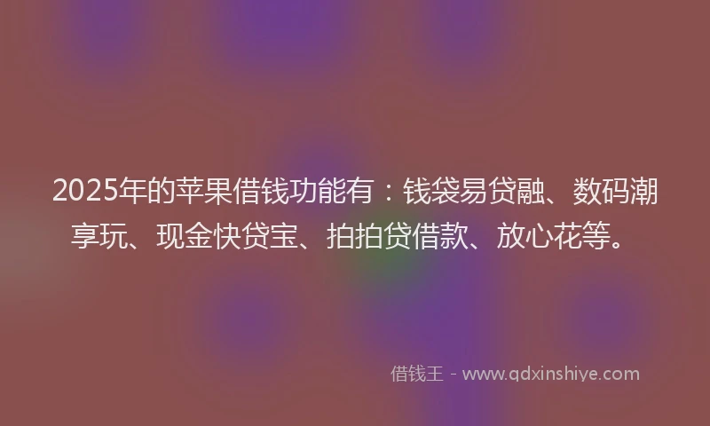 2025年的苹果借钱功能有：钱袋易贷融、数码潮享玩、现金快贷宝、拍拍贷借款、放心花等。