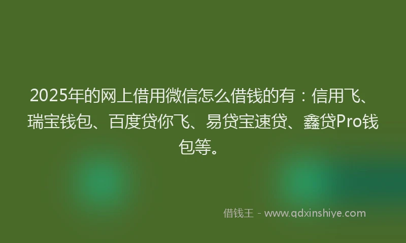 2025年的网上借用微信怎么借钱的有：信用飞、瑞宝钱包、百度贷你飞、易贷宝速贷、鑫贷Pro钱包等。