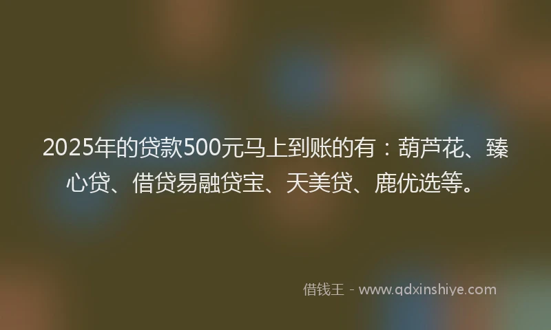 2025年的贷款500元马上到账的有：葫芦花、臻心贷、借贷易融贷宝、天美贷、鹿优选等。