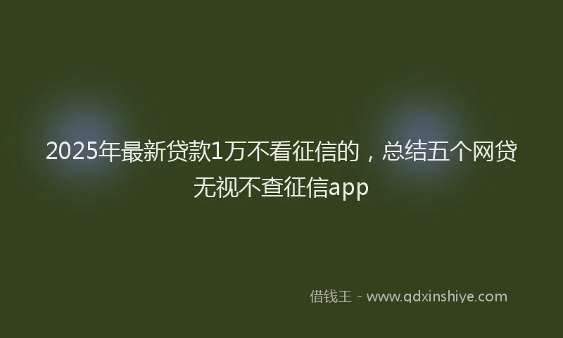 2025年最新贷款1万不看征信的，总结五个网贷无视不查征信app
