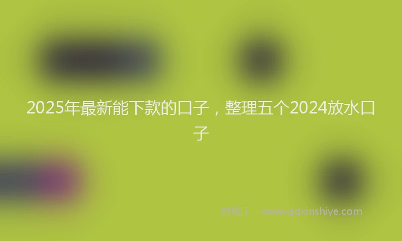 2025年最新能下款的口子，整理五个2024放水口子