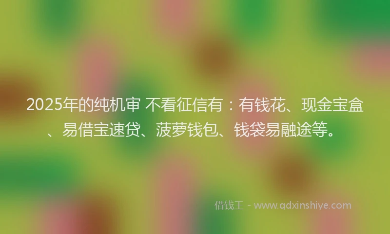 2025年的纯机审 不看征信有：有钱花、现金宝盒、易借宝速贷、菠萝钱包、钱袋易融途等。