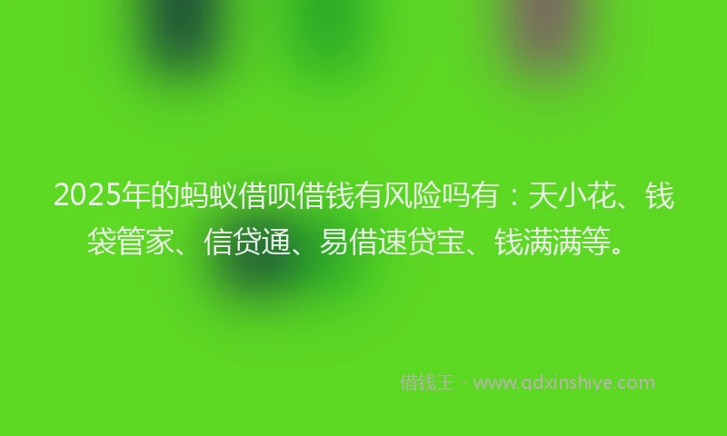 2025年的蚂蚁借呗借钱有风险吗有：天小花、钱袋管家、信贷通、易借速贷宝、钱满满等。