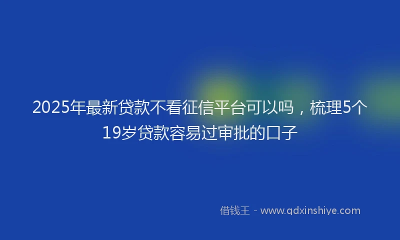 2025年最新贷款不看征信平台可以吗,梳理5个19岁贷款容易过审批的口子