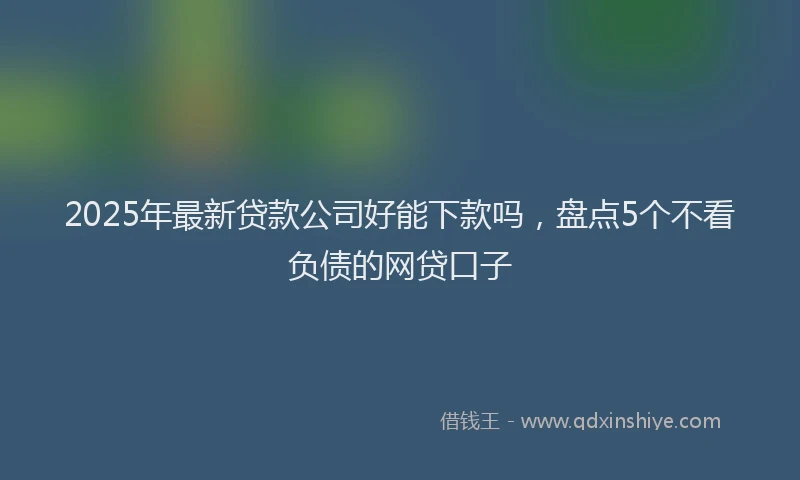 2025年最新贷款公司好能下款吗，盘点5个不看负债的网贷口子