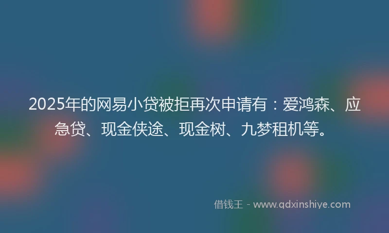 2025年的网易小贷被拒再次申请有：爱鸿森、应急贷、现金侠途、现金树、九梦租机等。