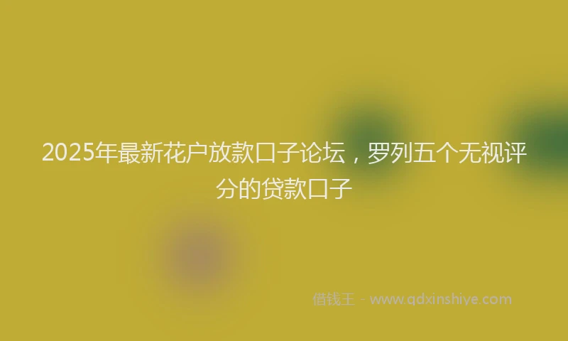2025年最新花户放款口子论坛，罗列五个无视评分的贷款口子