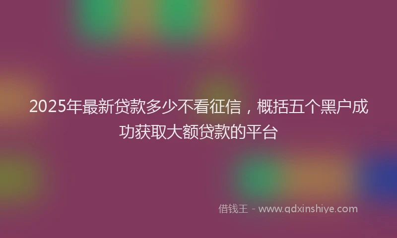 2025年最新贷款多少不看征信，概括五个黑户成功获取大额贷款的平台