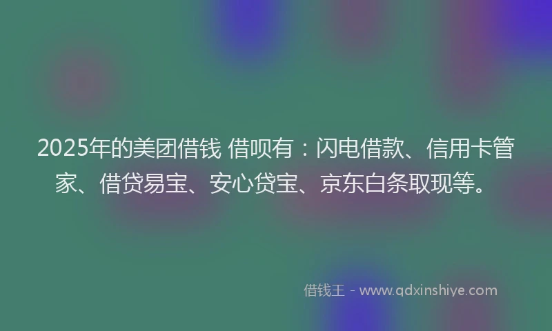 2025年的美团借钱 借呗有：闪电借款、信用卡管家、借贷易宝、安心贷宝、京东白条取现等。