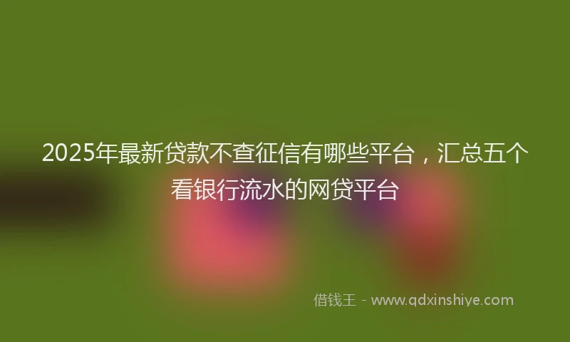 2025年最新贷款不查征信有哪些平台，汇总五个看银行流水的网贷平台