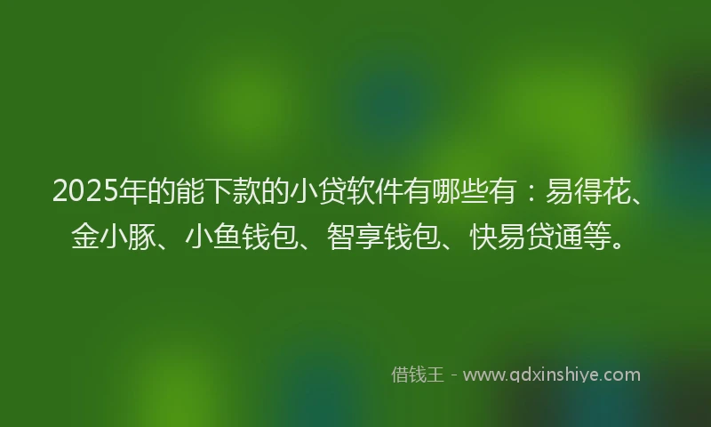 2025年的能下款的小贷软件有哪些有：易得花、金小豚、小鱼钱包、智享钱包、快易贷通等。