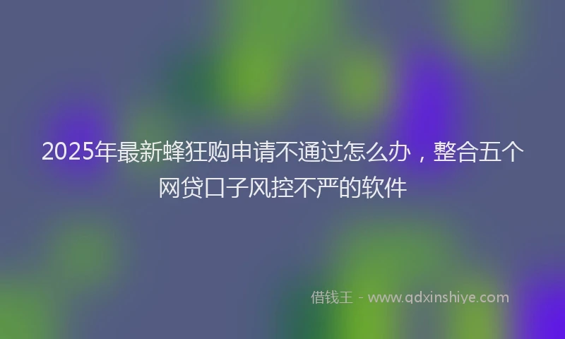 2025年最新蜂狂购申请不通过怎么办，整合五个网贷口子风控不严的软件