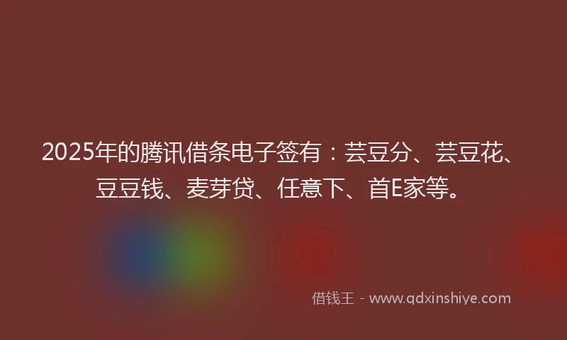 2025年的腾讯借条电子签有：芸豆分、芸豆花、豆豆钱、麦芽贷、任意下、首E家等。