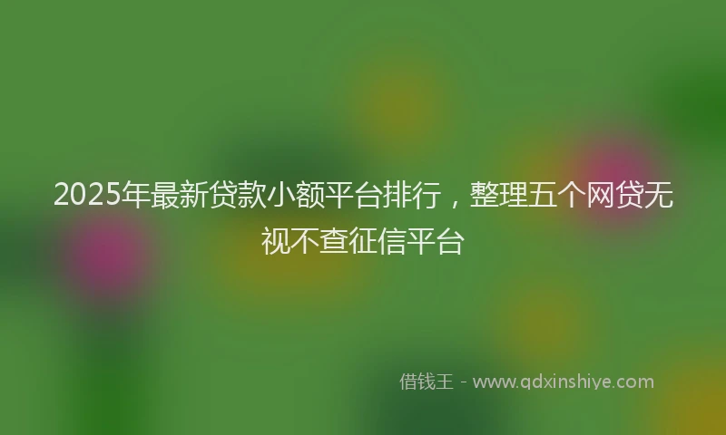 2025年最新贷款小额平台排行，整理五个网贷无视不查征信平台