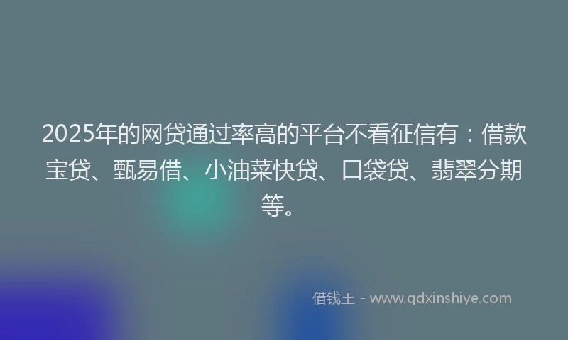 2025年的网贷通过率高的平台不看征信有：借款宝贷、甄易借、小油菜快贷、口袋贷、翡翠分期等。